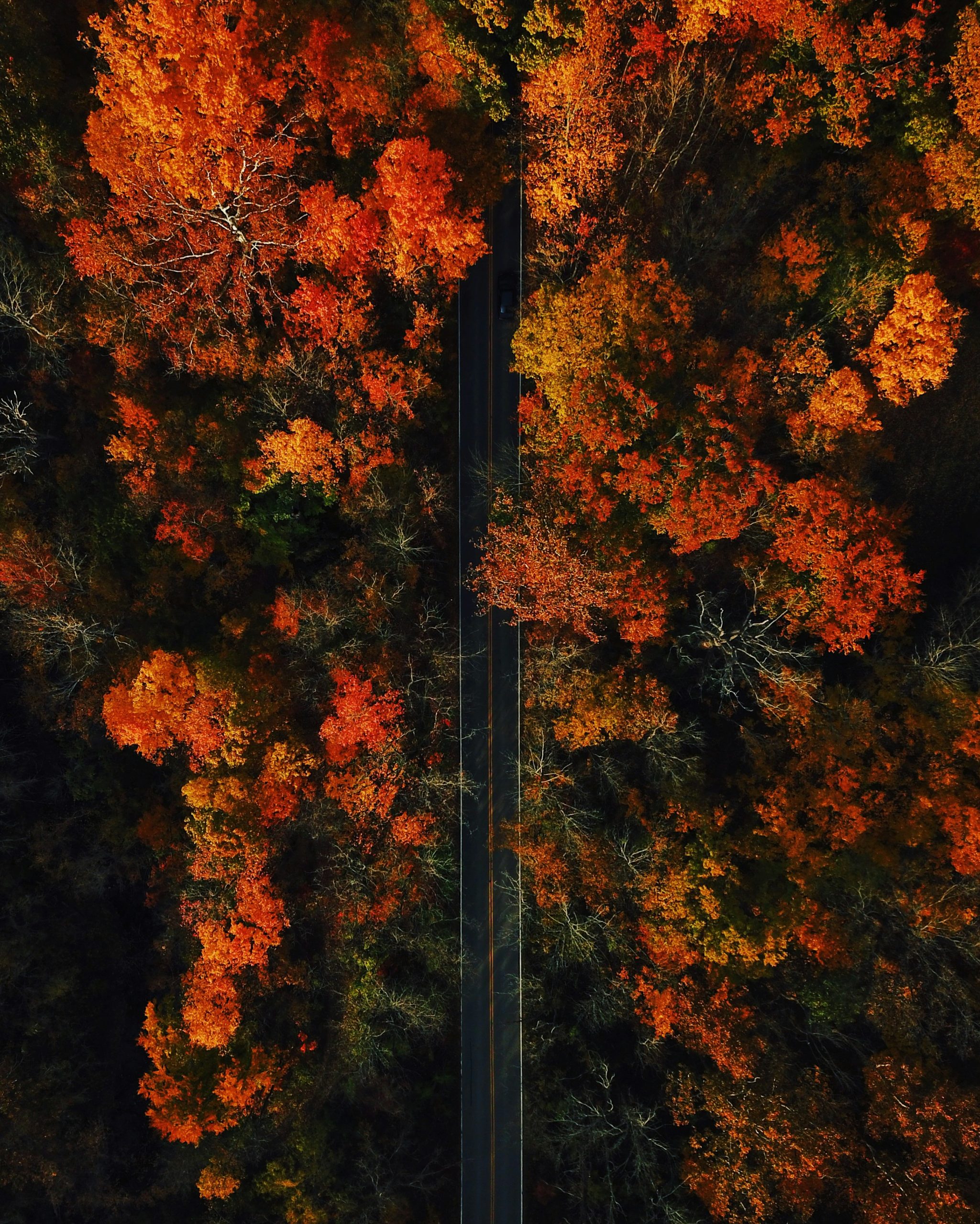 Ways to Make Your House Cozy for Fall Showings